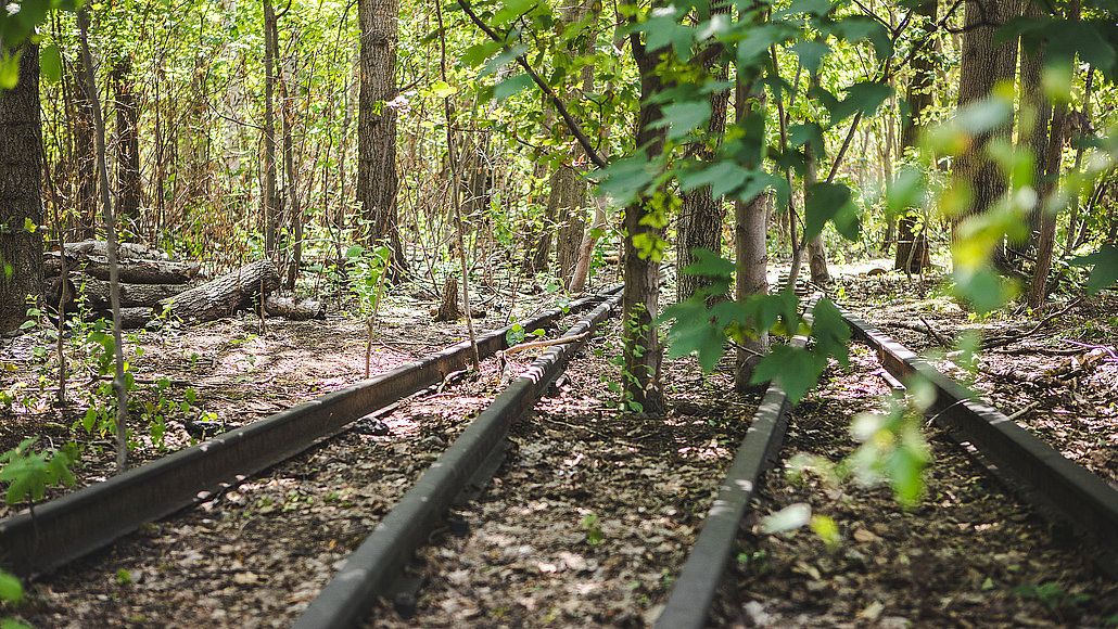 Alte Bahngleise führen durch einen Wald aus Bäumen im Park am Gleisdreieck